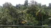 Spice Grove, фото 4