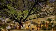 ITC Windsor, A Luxury Collection Hotel, Bengaluru, фото 2