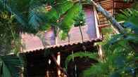 Funky Monkey Lodge