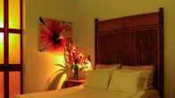 Iguana Lodge & Spa Beach Resort