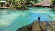 Ravintsara Wellness Hotel, фото 2