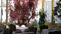 2 KITARRAT Boutique Hotel & SPA, фото 4