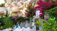 Bougainville Bay Hotel, фото 2