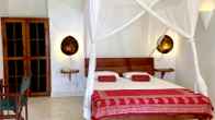 Gecko Resort, фото 4