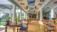 Turtle Bay, фото 4