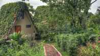 Pura Vida Retreat & Spa