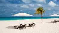 Bucuti & Tara Beach Resort - Adults Only, фото 3