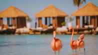Renaissance Wind Creek Aruba Resort, фото 4