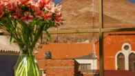 Hotel Coloso Potosi
