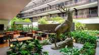 The Westin Doha Hotel & Spa, фото 7