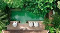 Satri House, фото 2