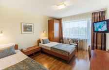 Двухместный стандарт (TWIN)