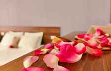 2-х местный Полулюкс с террасой