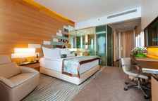 Делюкс Прайм (одна кровать) с видом на сад