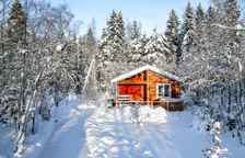 Дом Романтика