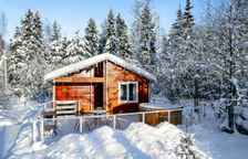 Дом Романтика с купелью на дровах