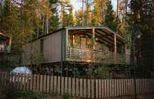 Дачи первая линия