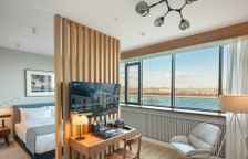 Делюкс Нордик