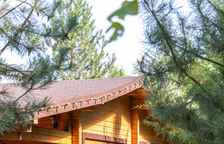 VIP  коттедж с двумя спальнями, гостиной и мангальной зоной