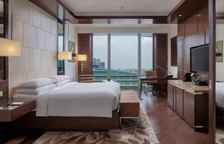 Двухместный номер Executive Lounge Access с видом на город