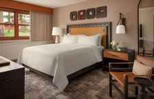 Двухместный номер Premier Deluxe Partial Lake View
