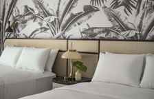 Четырёхместный номер Deluxe Resort View