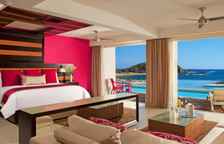 Двухместный Preferred Club люкс Swim-Out c 1 комнатой