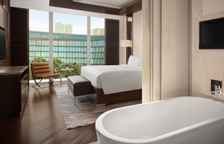 Двухместный полулюкс Executive Lounge Access c 1 комнатой