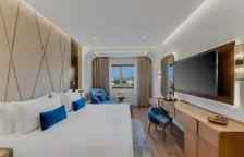 Двухместный номер Premium Executive