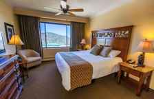Studio Suite