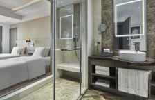 Двухместный номер Lounge Access Premium