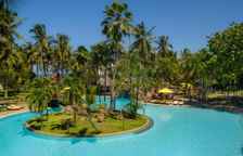 Одноместный номер Standard с видом на бассейн