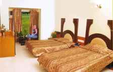 Одноместный номер Standard с видом на сад