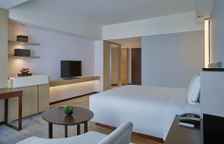 Двухместный номер Premier