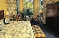 Одноместный номер Standard