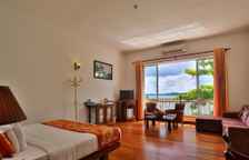 Одноместный номер Deluxe