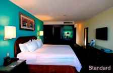 Двухместный номер Premium Level Superior