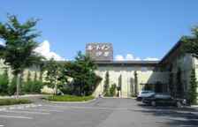 Одноместный номер Standard