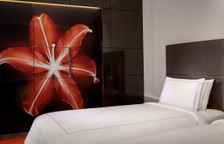 Двухместный номер Superior