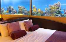 Одноместный номер Standard