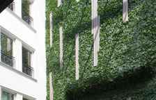 Двухместный люкс Executive c 1 комнатой