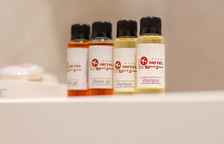 Семейный номер Standard