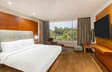 Одноместный люкс c 1 комнатой