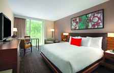 Двухместный номер Pure Hypoallergenic Room