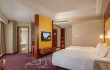 Одноместный семейный номер Standard