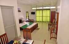 Двухместный номер Standard с балконом и с видом на сад