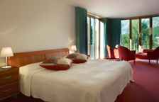 Двухместный номер Standard