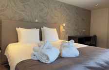 Двухместный номер Superior