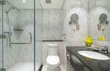 Двухместный клубный номер Standard с видом на город