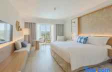 Одноместный номер Superior